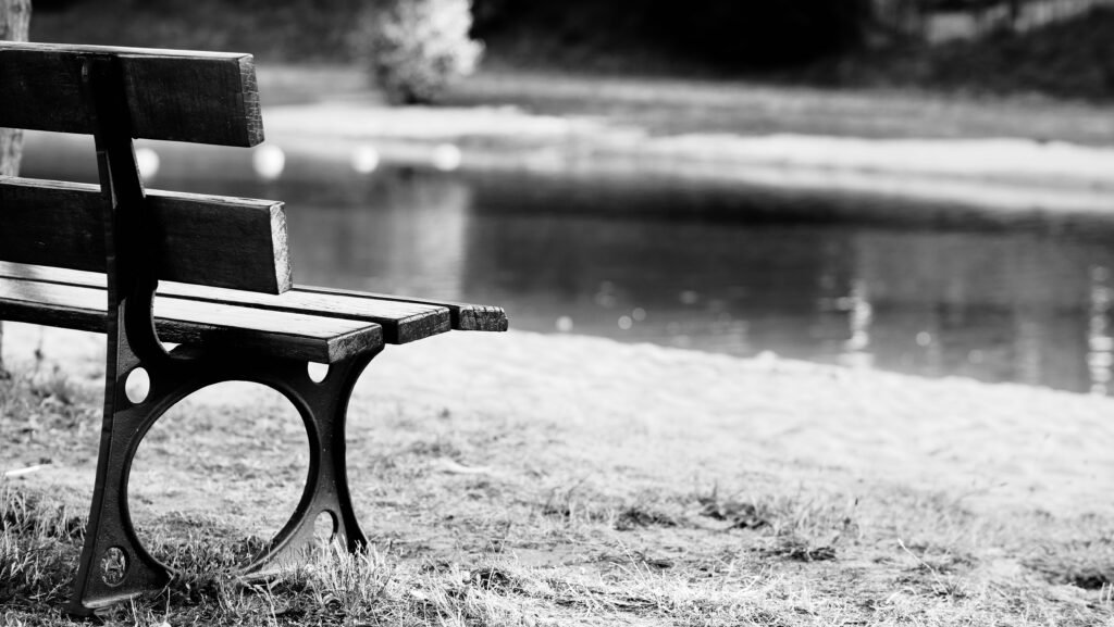 a bench sits unoccupied